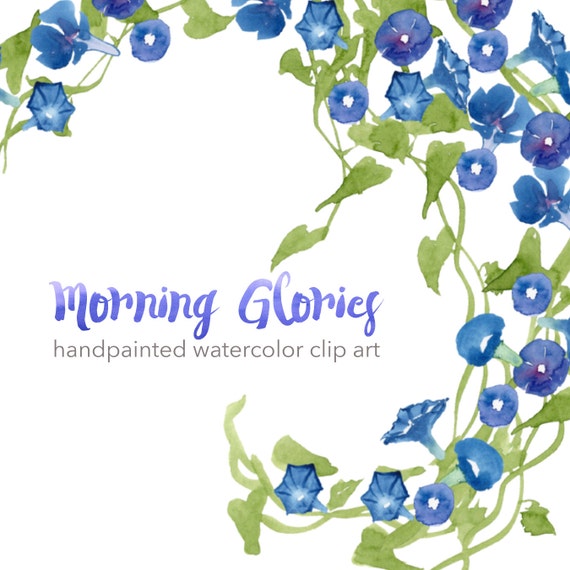 clip art morning glory flower - photo #33