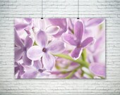 Lilac Flower Print,  Bright Flower Art, Bold Macro Photograph, Large Canvas Wall Art, Purple Violet Home Decor, Close Up Flower Shot