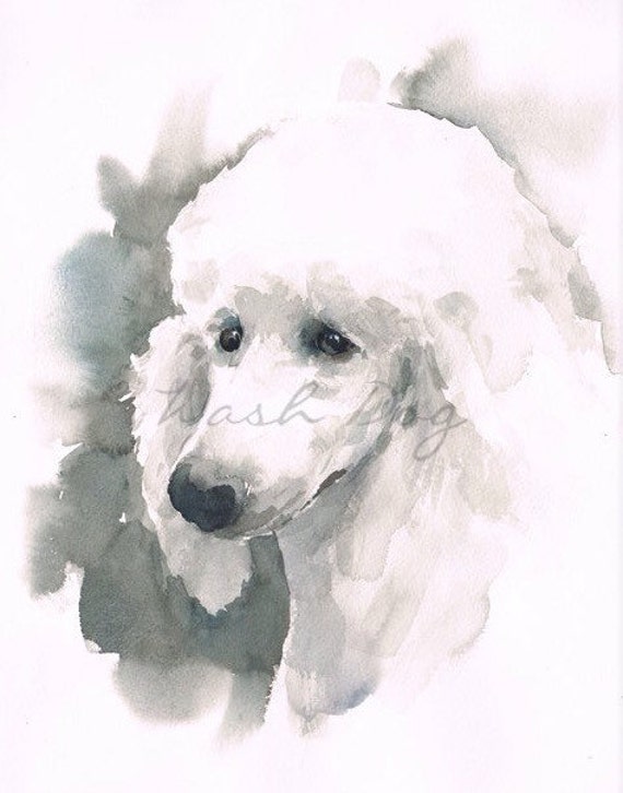 Items similar to White Poodle print of original watercolor painting