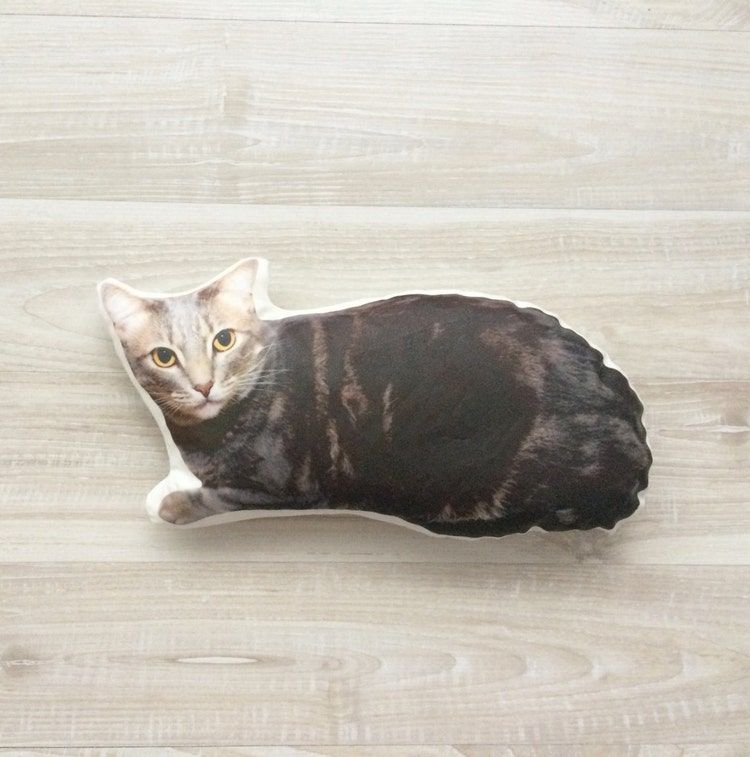 custom cat shaped pillow