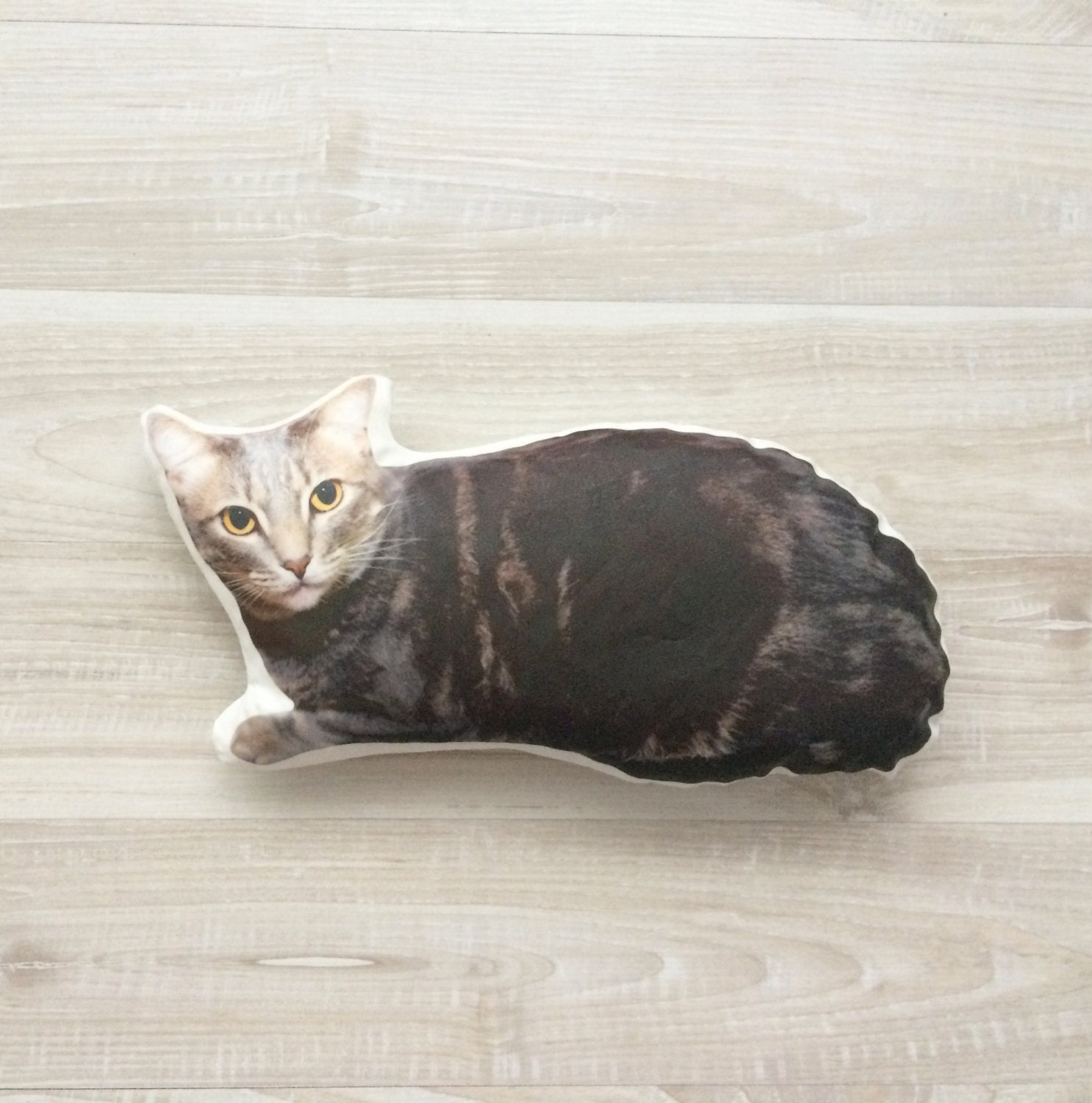 cat pillow for cats