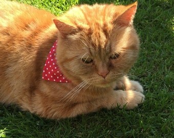 Small Polka dots cat bandana, pet accessory, red and white polka dot, cat gift, crazy cat lady