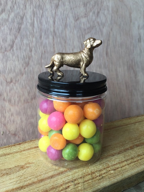 Treat Jar plastic dog treat jar dogs treat jar jars by Yarramalong