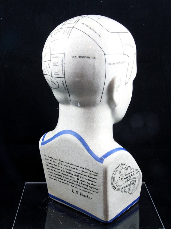 Phrenology Head Phrenology Bust 12 inch L.N. Fowler Porcelain