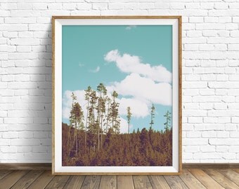landscape photography, large art, printable art, instant download printable art, trees, art, modern, nature photography - "Above the Forest"