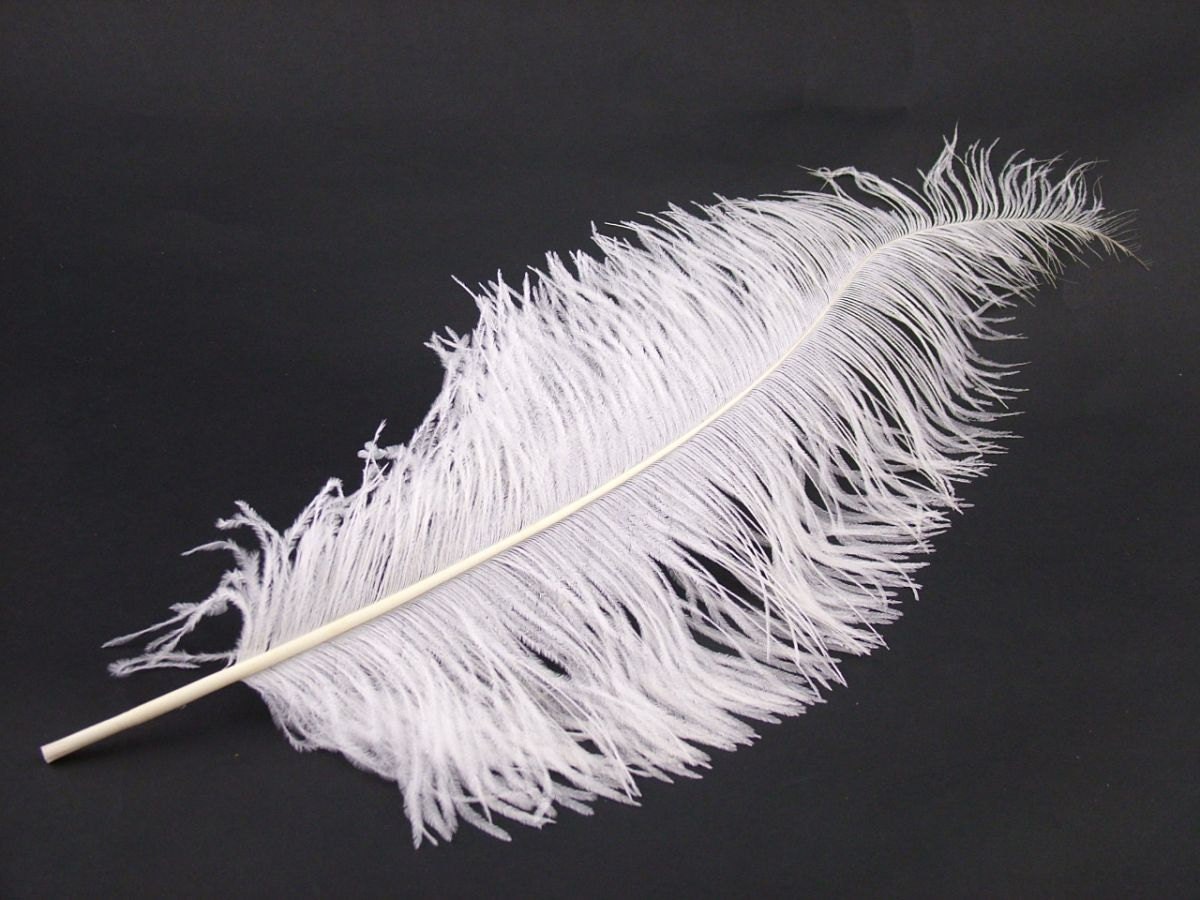 Beautiful Dyed Ostrich Feathers Pack of 100 pcs 810