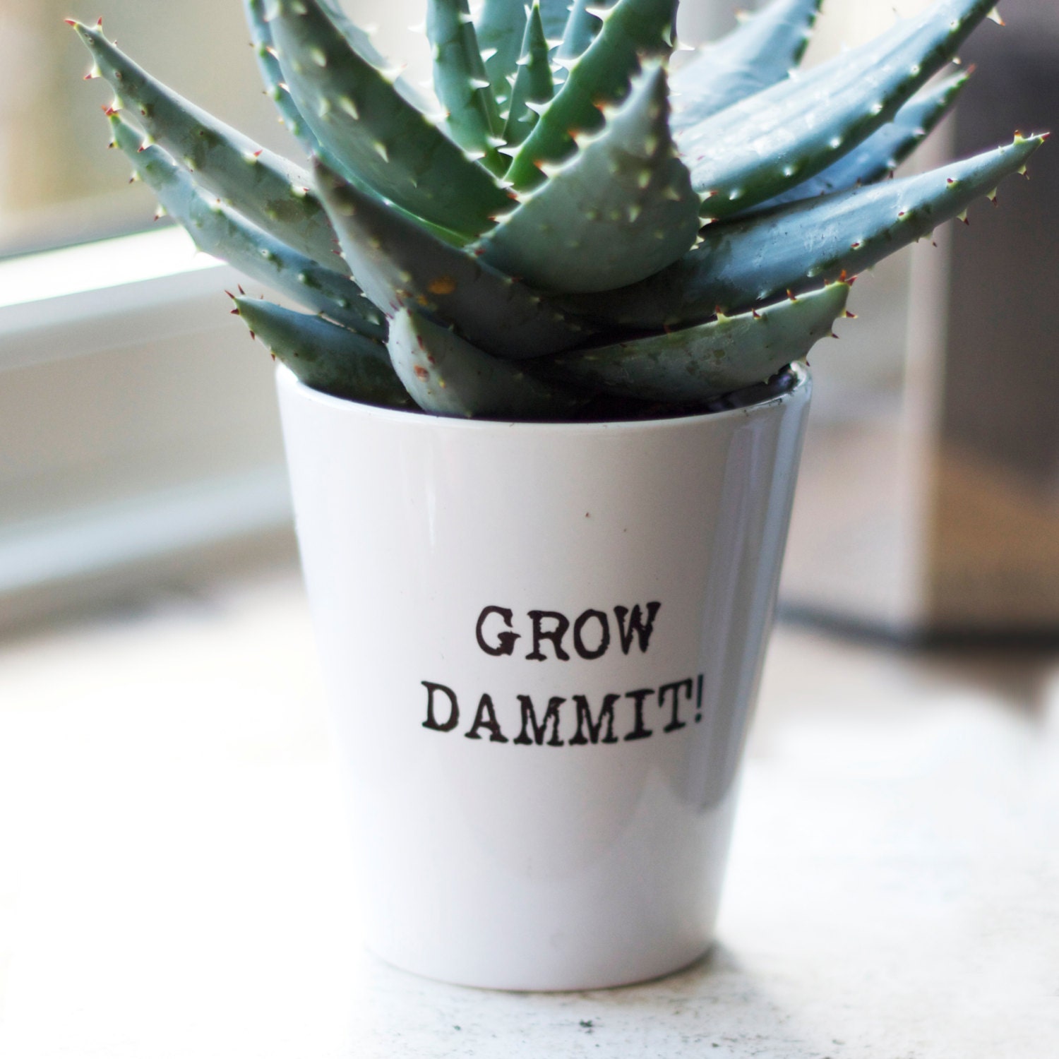 Personalised Typewritten Plant Pot Witty Inspirational Plant