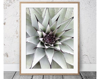 Cactus, Cactus Print, Succulent, Succulent Print, Cactus Wall Art, Green Print, Scandi, Cactus Art, Cactus Poster, Cactus Photography, Cacti