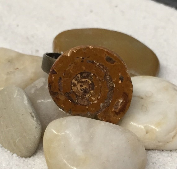 Ammonite Fossil Ring Adjustable Band Fossil Jewelry