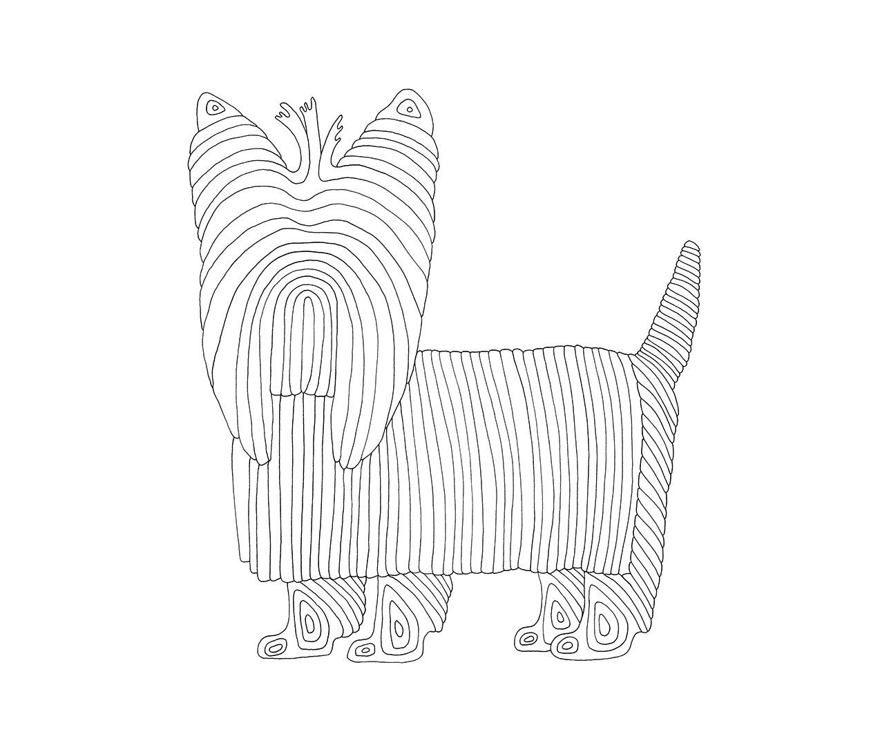 coloring page yorkie printable adult coloring dog line art