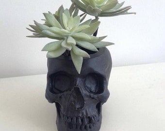 Skull Plant Pot, Skull Planter, Skull Desk Tidy - Black