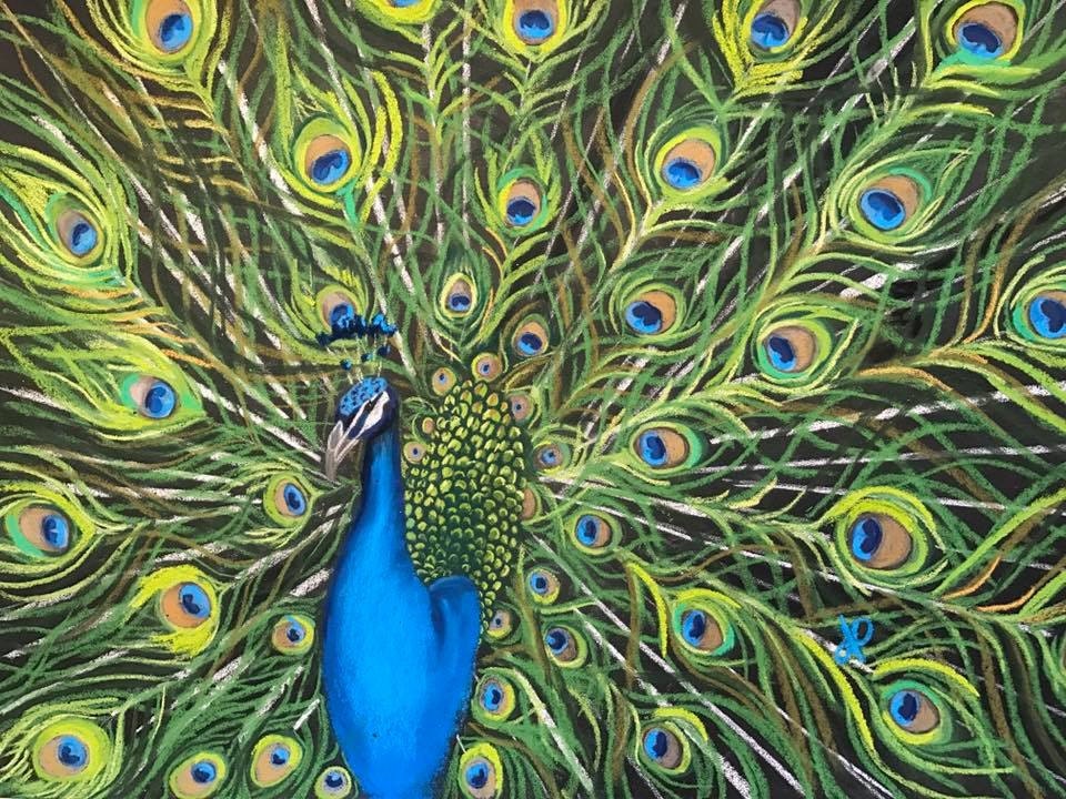 Tail Feathers Original Pastel Painting Jamies Art 18x24