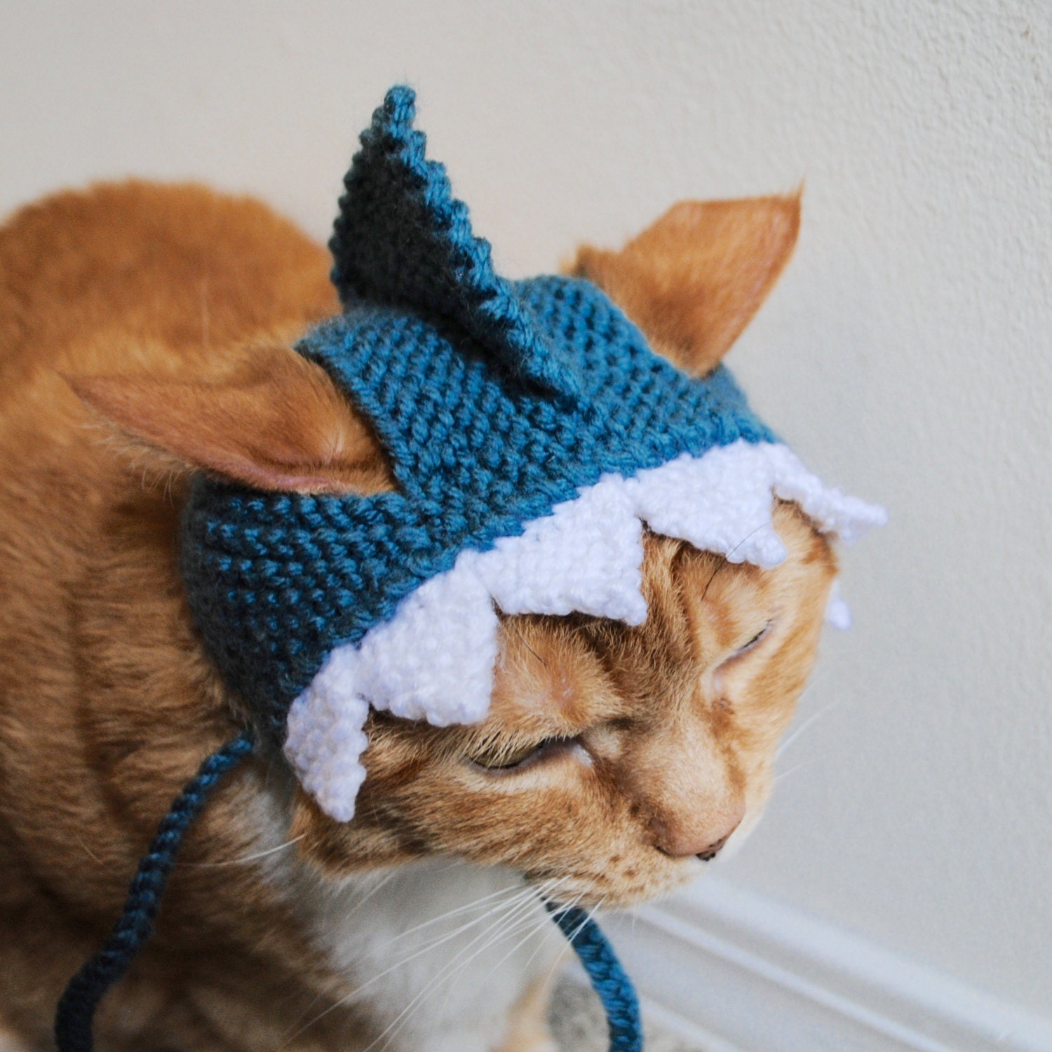 Shark Cat Costume Hand Knit Cat Hat Cat Halloween Costume