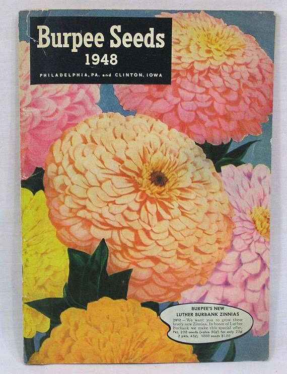 Burpee Seed Catalog 1948 Zinnias on Cover 126 Pages Hundreds