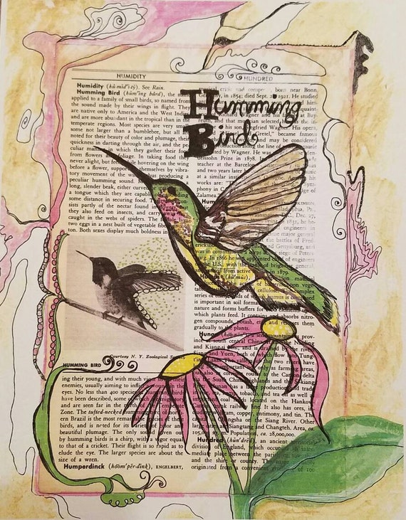 Humming Bird 1950 Encyclopedia Page Limited Signed Art Print