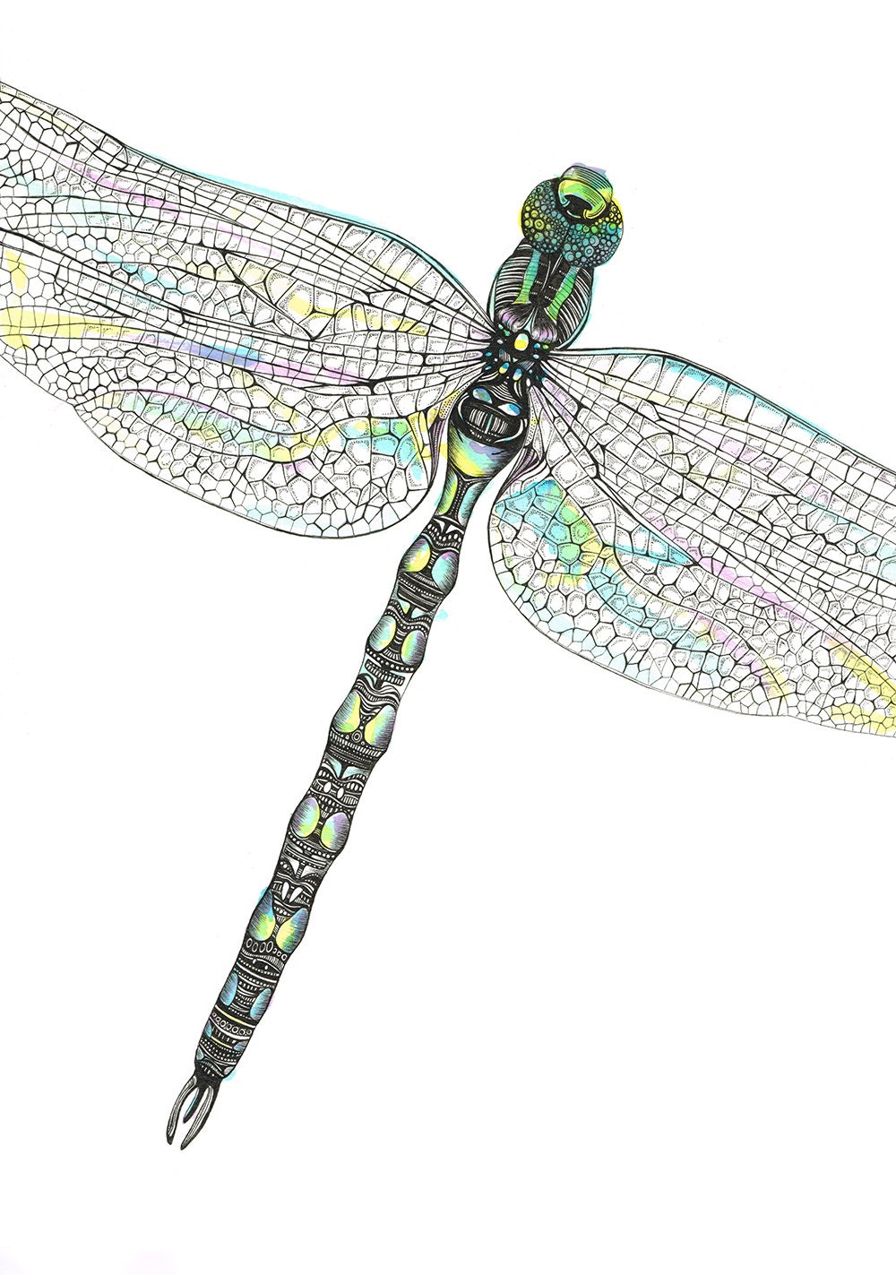 Dragonfly Cushion Dragonfly Pillow Garden Cushion Insect