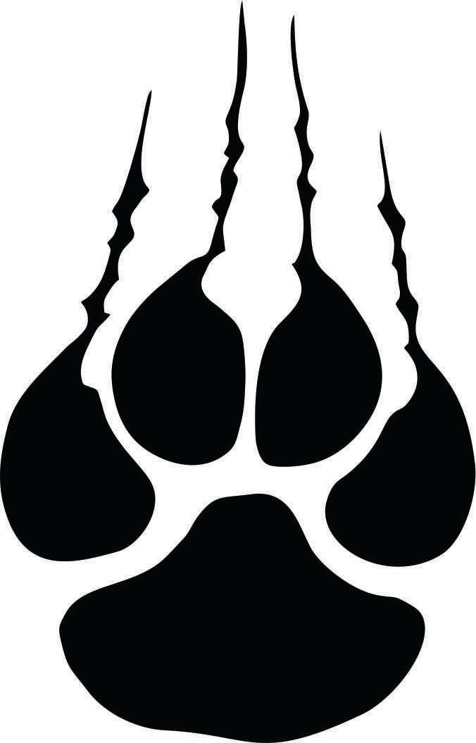 Free Free Wildcat Paw Svg 906 SVG PNG EPS DXF File