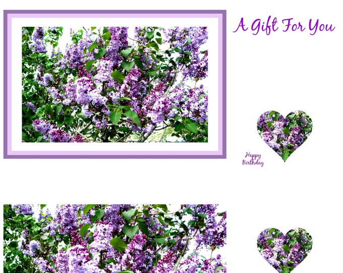 GREETING CARDS GIFT Set: 20-pieces created for you by Pam Ponsart of Pam's Fab Photos featuring Purple Lilacs and optional gift card