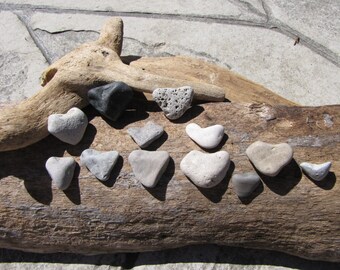 Sale // 12 HEART Shaped BEACH ROCKS / Lake Erie