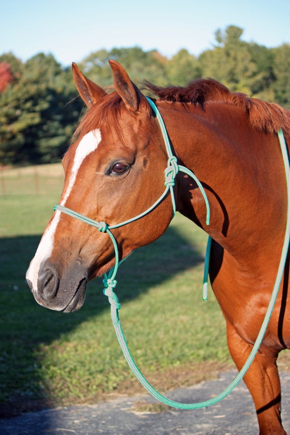 Mint Green Rope Halter Mint Green Horse Halter Mint Tack