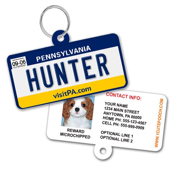 petsmart dog tags license petsmart dog tags license