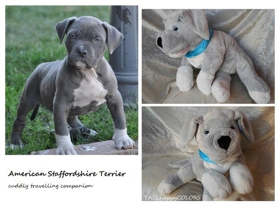 american staffordshire terrier stuffed animal