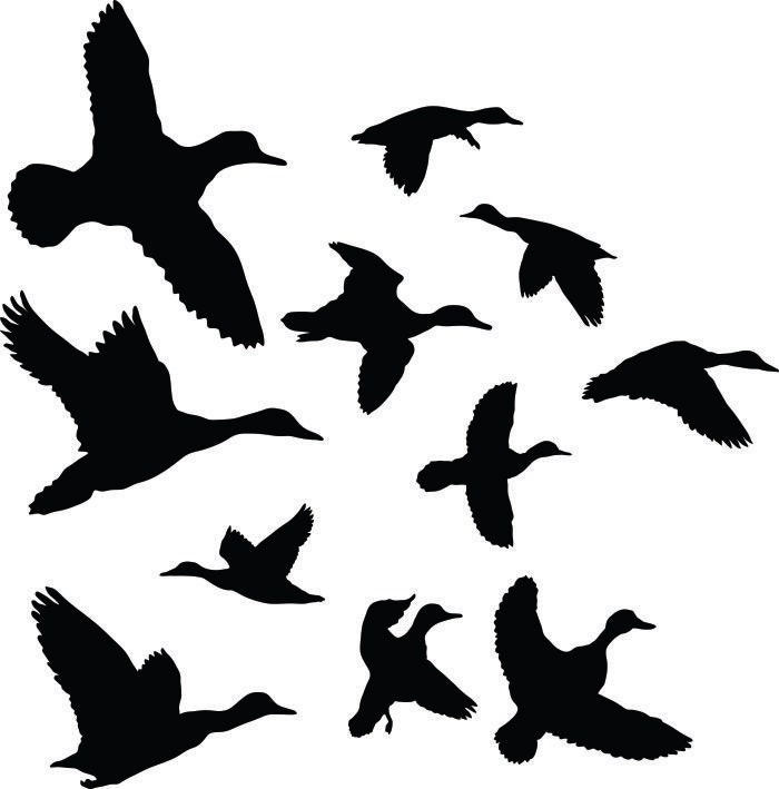 Duck Clipart Silhouettes eps dxf pdf png svg Files Plasma