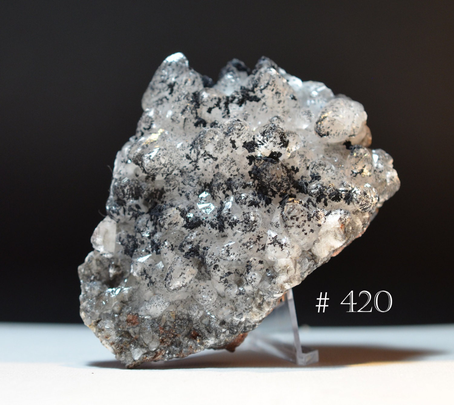 Smoky Alpha Quartz Paramorph of Beta Quartz with Black