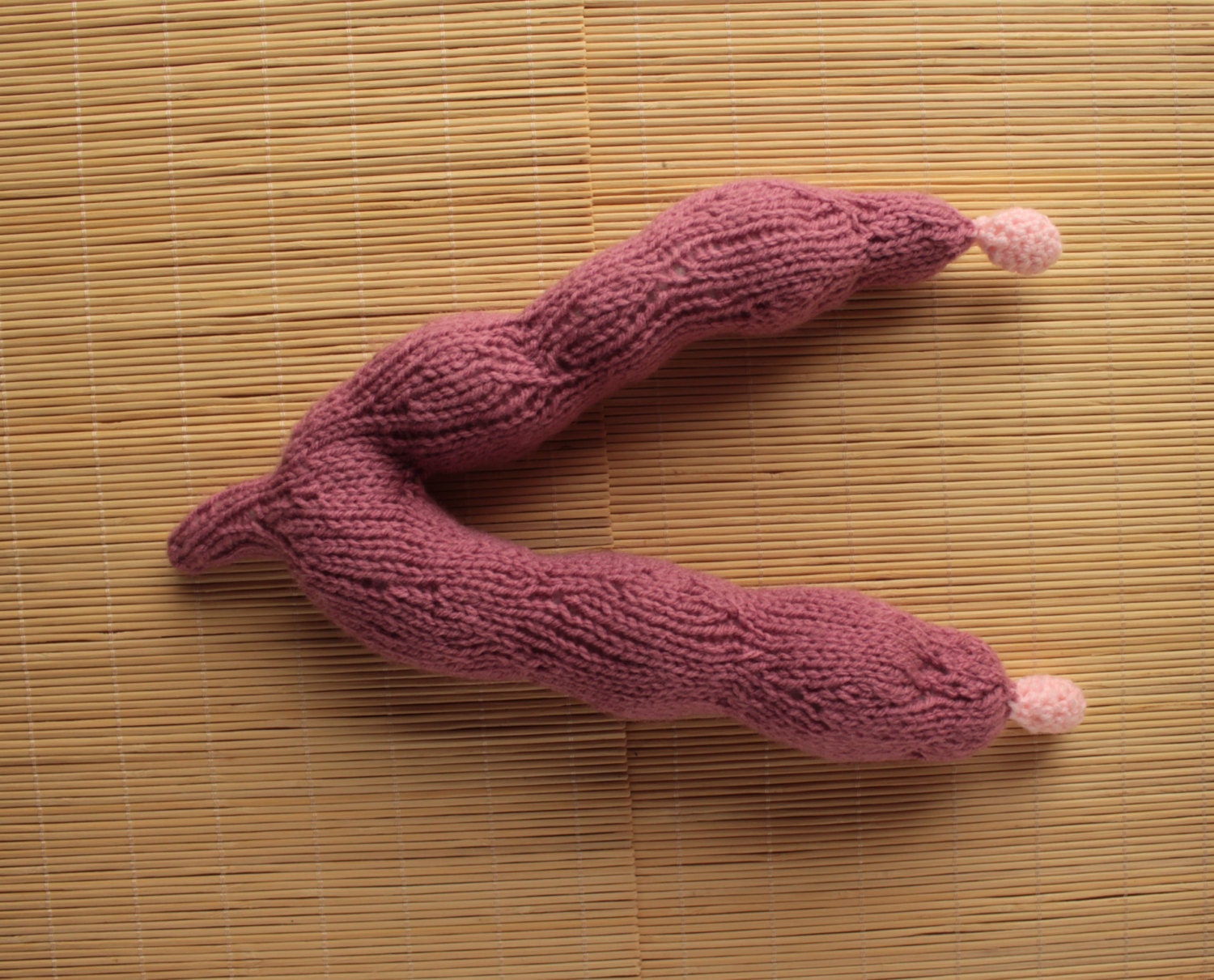 Dog Uterus Knitted Dog Uterus w/ Pyometra Model of Infected