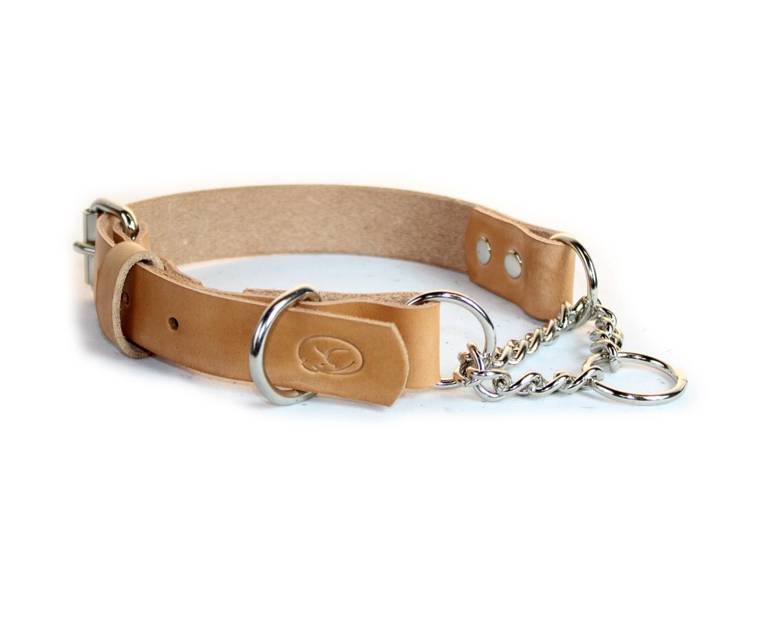 Leather Adjustable Martingale Chain Dog Collar
