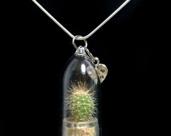 Wearable Cactus Necklace / Mini Cactus Terrarium Necklace / Miniature Terrarium / Nature Jewelry Necklace