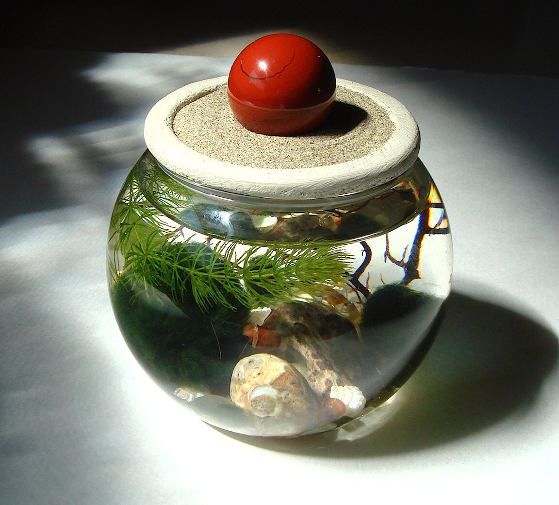 Zen. Garden. Sphere. Stone Top. Marimo Ball. Unique. by MyZen