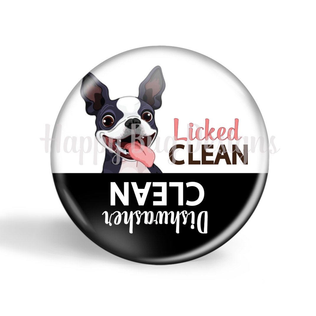 Licked Clean or Dishwasher Clean Boston Terrier 2