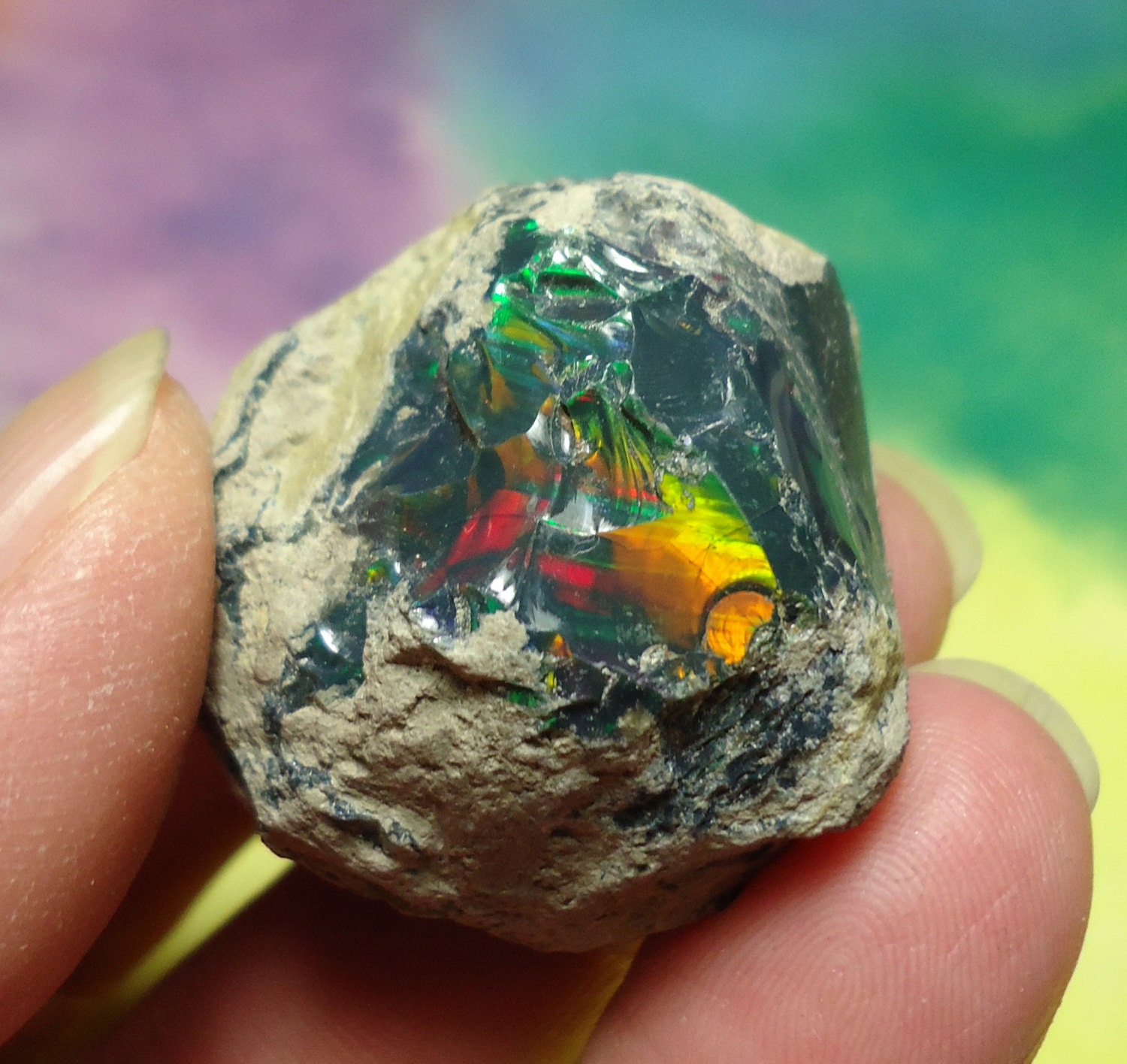 Sale BLACK OPAL 24 Gram Large Natural Top Quality Rainbow