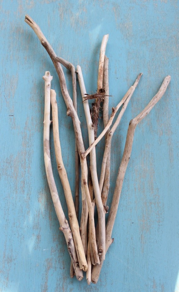 Beautiful Driftwood Branch Collection 10 Pieces by ElaLakeDesign