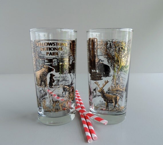 Vintage Set of 2 Yellowstone National Park Glasses 1970s