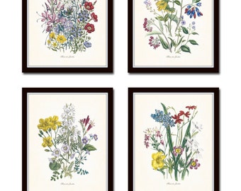 Fleurs de Jardin Print Set No. 16, Botanical, Print Set, Wall Art, Giclee, Art Print, Vintage Botanicals, Wildflower Print, Flower Prints