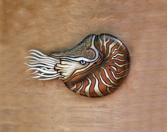 Nautical art sculpture 19x11'' Nautilus wood carving, Nautilus art, nautilus sculpture, nautical art, nautical sculpture, beach art, sea art