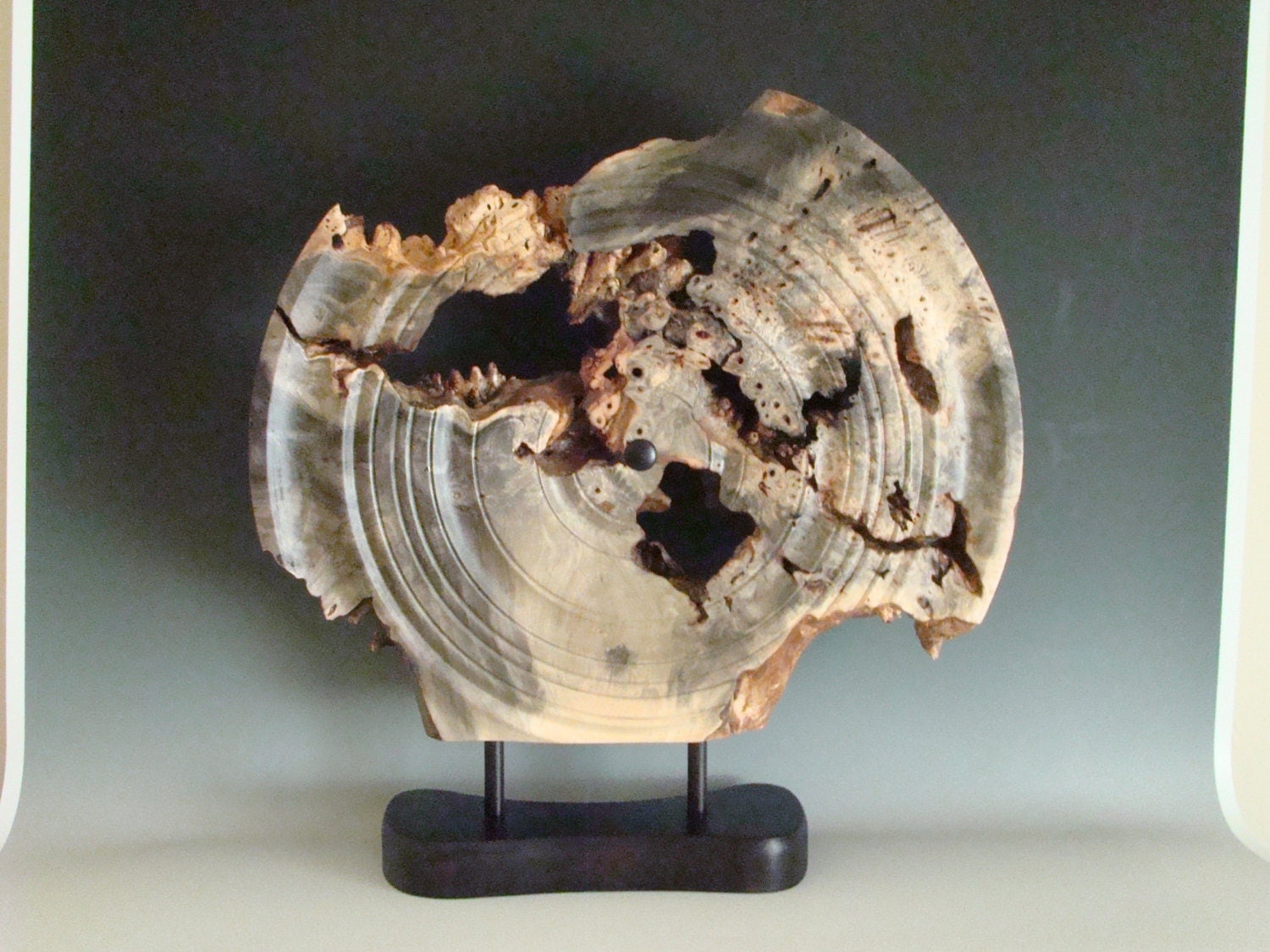 Buckeye Burl turned sculpture wood art art by TurningWoodbyDave