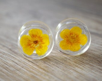 13/16" 20mm yellow flower plugs real floral ear plug real flower plugs Unique tunnels Unusual Ear stretcher resin plug Pressed Flower gauge
