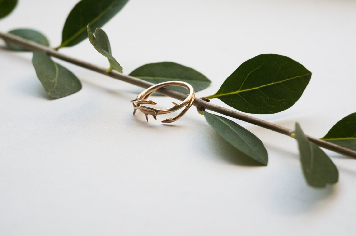 Thorn Ring BranchInspired Jewelry in Precious and