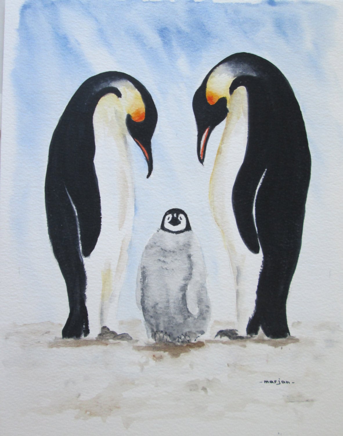 Семья пингвинов картинки