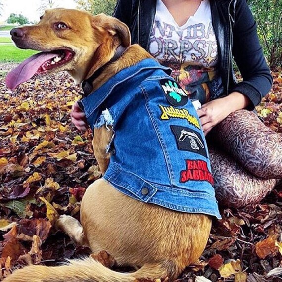 Denim Dog Vest / Denim Dog Jacket / Dog Harness Vest / by PetHaus