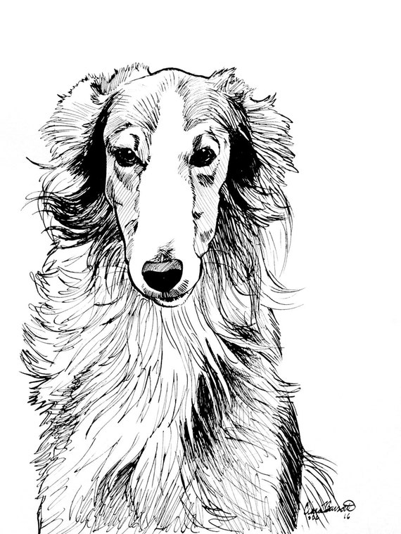 Original Ink Drawing Pen and Ink Silken Windhound Dog Artwork