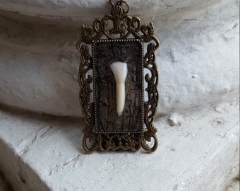 deer tooth, goth jewelry, tooth necklace, witchy jewelry, wiccan gifts, morbid jewelry, goth accessories, cruelty free, ethically sourced