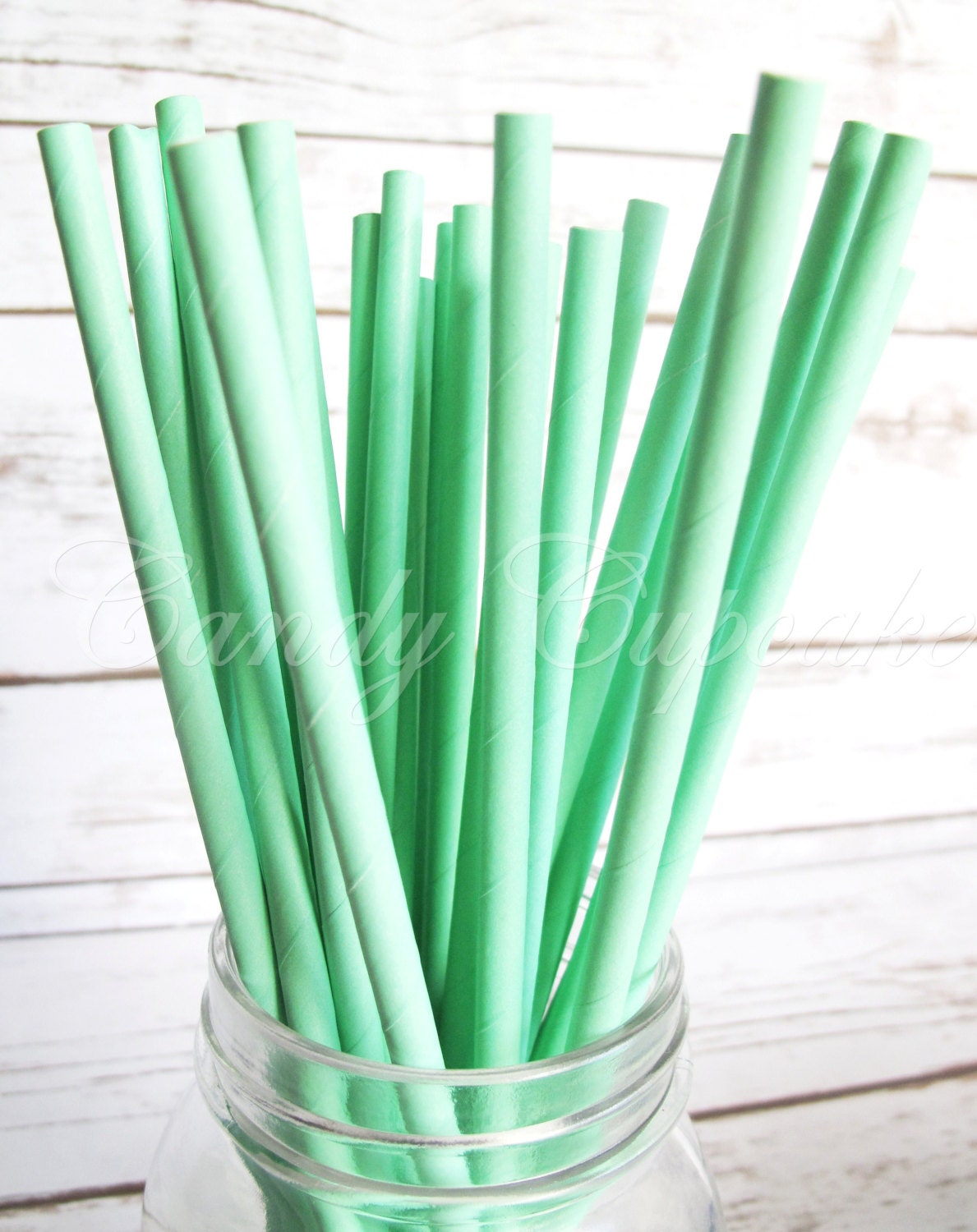 SOLID MINT GREEN 25 Paper Straws Birthday Party Wedding