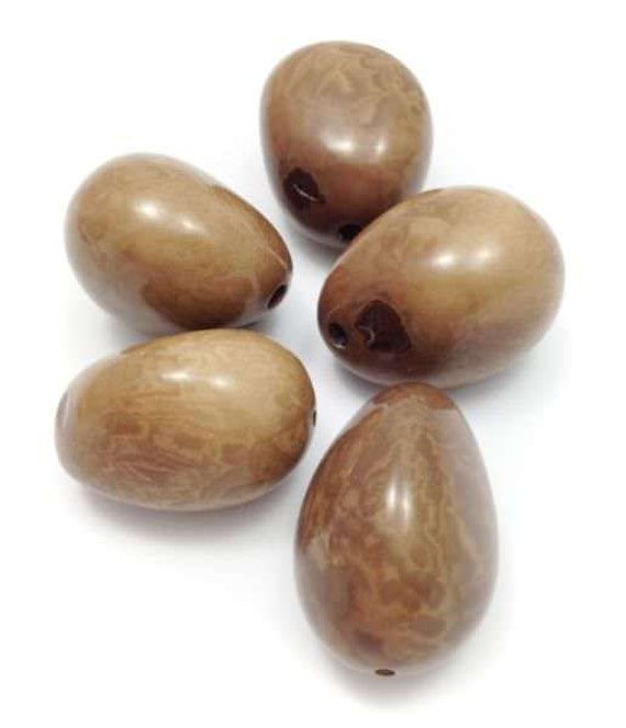 Tagua Nut large light brown 45mm trailer 1 Piec