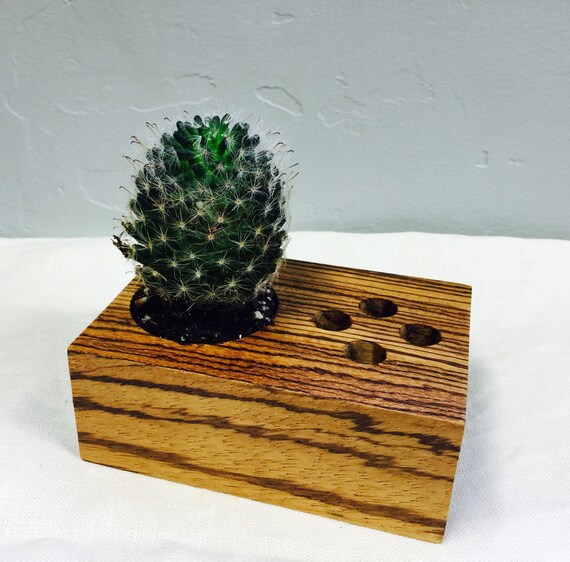 Mini Homeoffice pen or pencil holder with CACTUS plant made