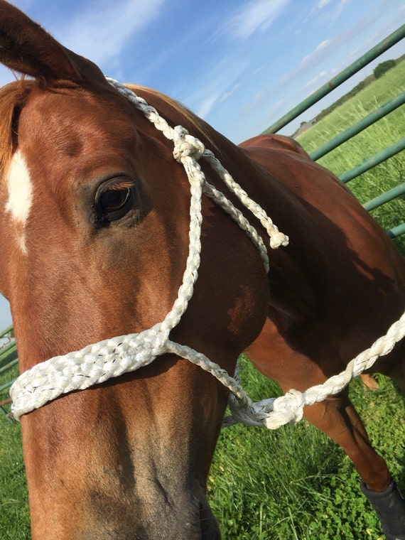 White Mule Tape Halter with lead rope by LBHatbands on Etsy