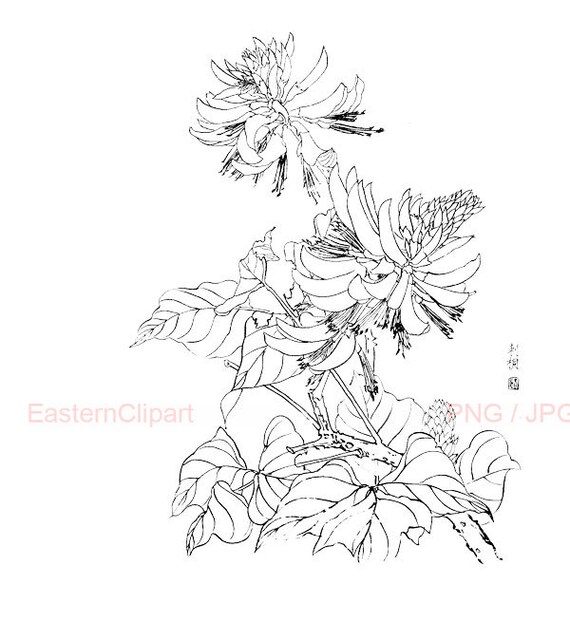 Line Art Etsy : Items similar to chinese line drawing png digital
